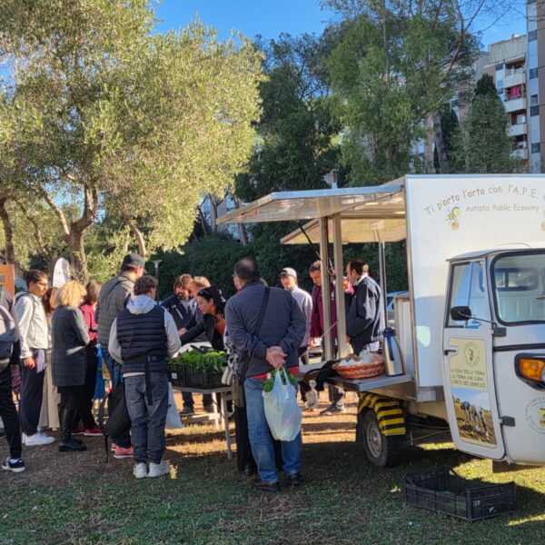 APE CHE GIRA MUNICIPIO IX - A