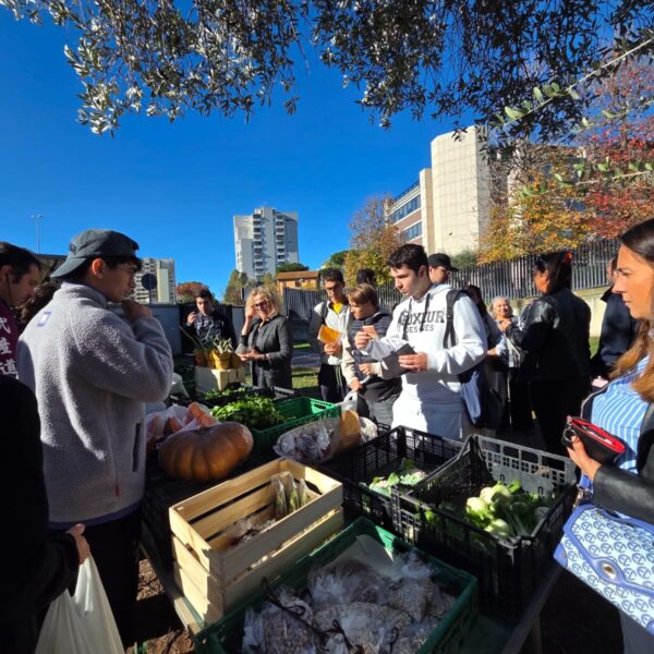 APE CHE GIRA MUNICIPIO IX - B