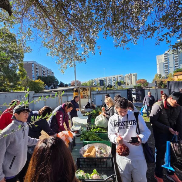 APE CHE GIRA MUNICIPIO IX - C