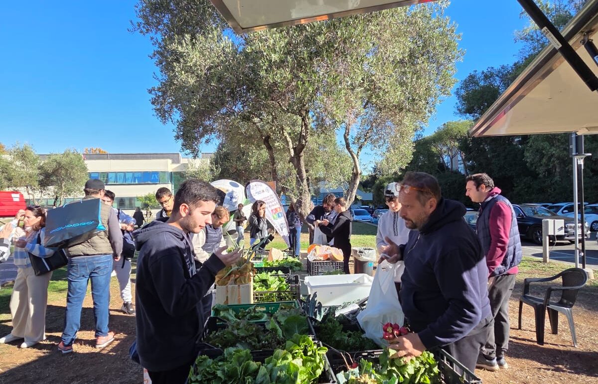 L’A.P.E. che gira – Diario di Sora Lella 31-10-2025