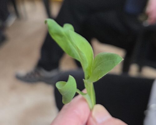 30 gennaio galleryWhatsApp Image 2026-02-04 at 22.20.06