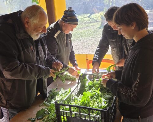 garibaldi 27 gennaio 00WhatsApp Image 2026-01-31 at 21.45.59-2