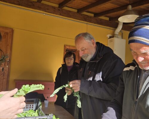 garibaldi 27 gennaio 00WhatsApp Image 2026-01-31 at 21.45.59-3