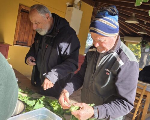 garibaldi 27 gennaio 00WhatsApp Image 2026-01-31 at 21.45.59